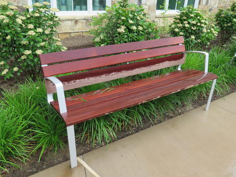 Arboretum Bench